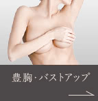 豊胸・ヒップアップ